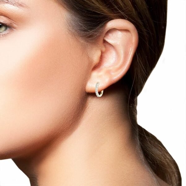 0.46ct Hoop Earrings SE111